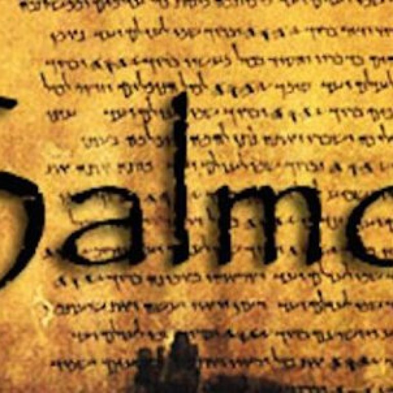salmo-2-768x302